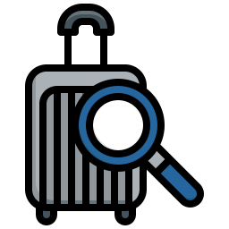 Inspection icon