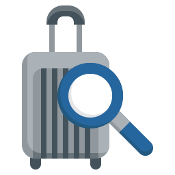 Inspection icon