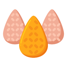 coxinha icon