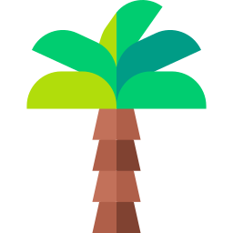 Palm tree icon