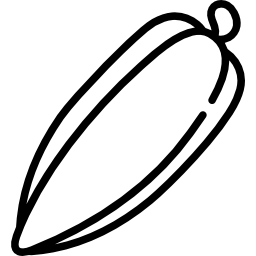 Pepper icon