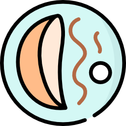 Crepe icon