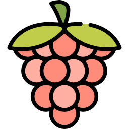 Raspberry icon