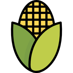 Corn icon