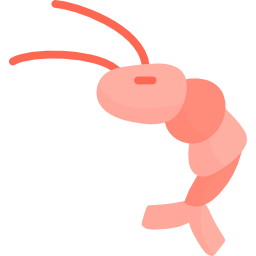 Prawn icon