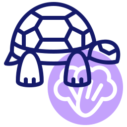 Tortoise icon