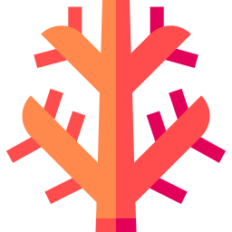 Coral icon