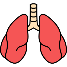 menschliches organ icon