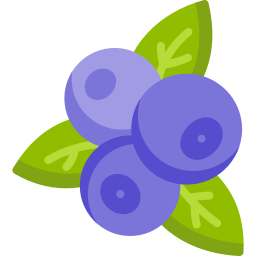 Blueberry icon