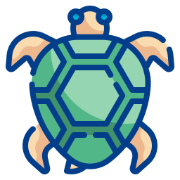 Turtle icon