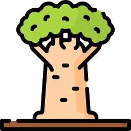 Baobab icon