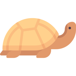 tortue Icône