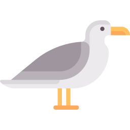 mouette Icône