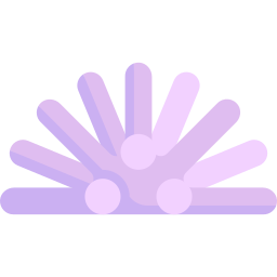 Coral icon