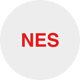 nes icon