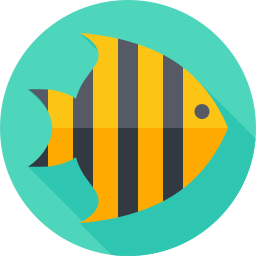 Angelfish icon