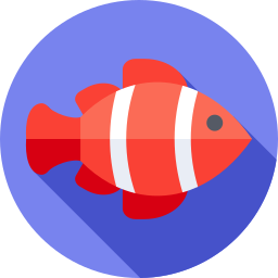 clownfisch icon