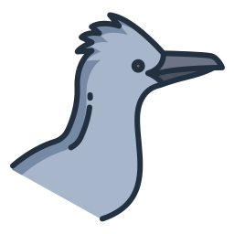 roadrunner icon