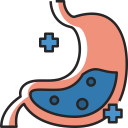 Stomach icon