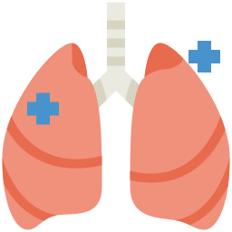 Lungs icon