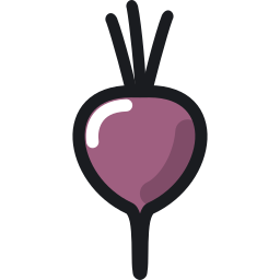 Beet icon