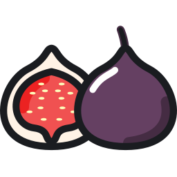 Figs icon