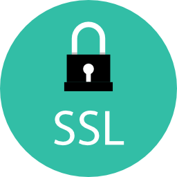 ssl icoon