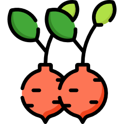 Radish icon