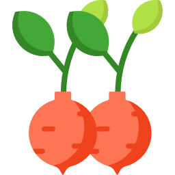 Radish icon