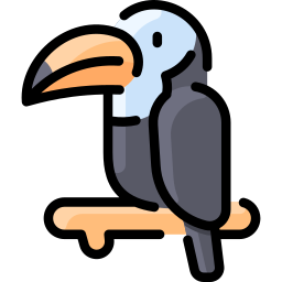 toucan Icône