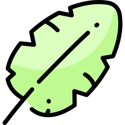 Leaf icon