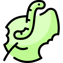 carterpillar icon