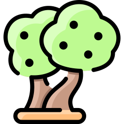 Olive tree icon