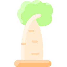 Baobab icon