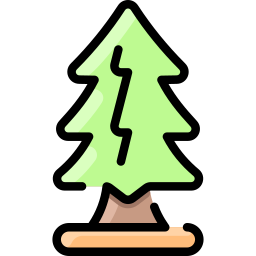 Pine tree icon