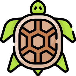 Turtle icon