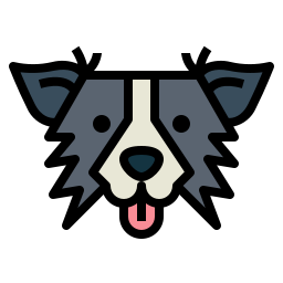 Border collie icon