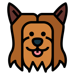 yorkshire-terrier icon