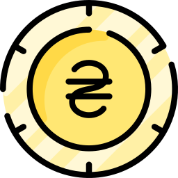 Hryvnia icon