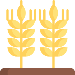 Wheat icon