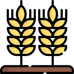 Wheat icon