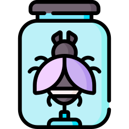 Insect icon