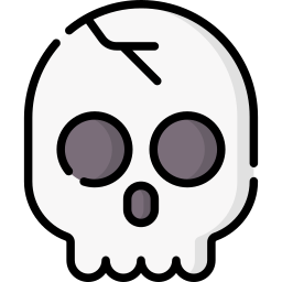 Skull icon