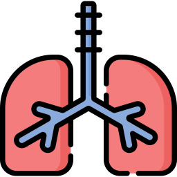 Lungs icon