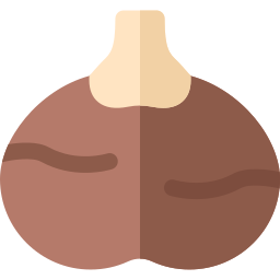 Chestnut icon