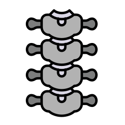 coluna vertebral Ícone