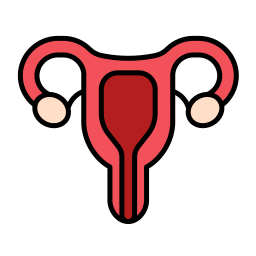 Uterus icon