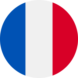 frankreich icon