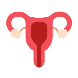 Uterus icon