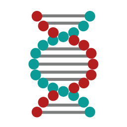 Dna structure icon